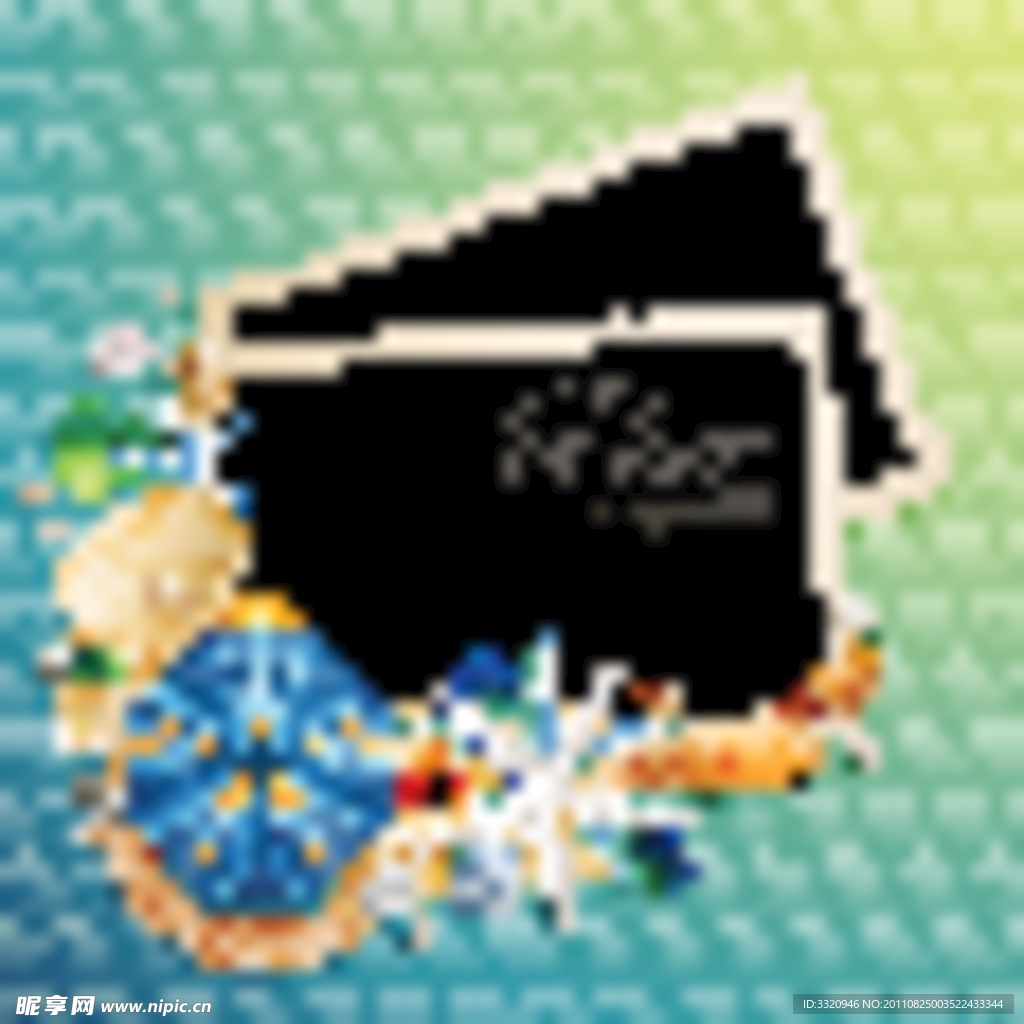 夏日海星海螺