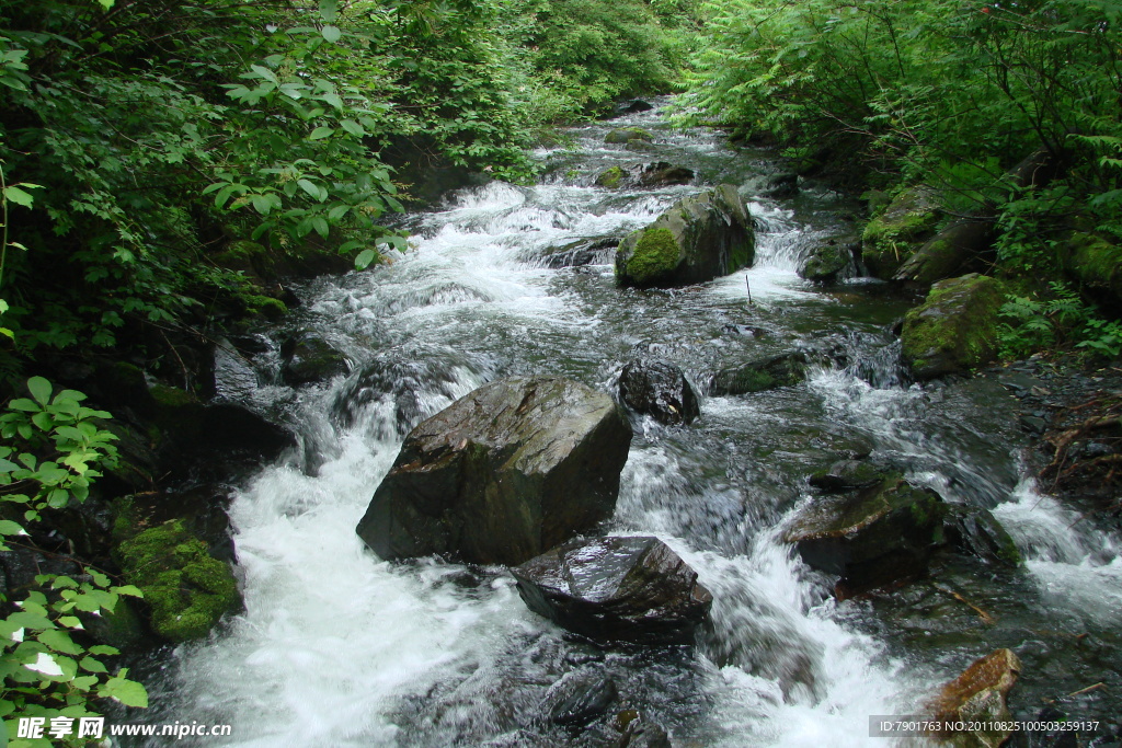 清泉激流