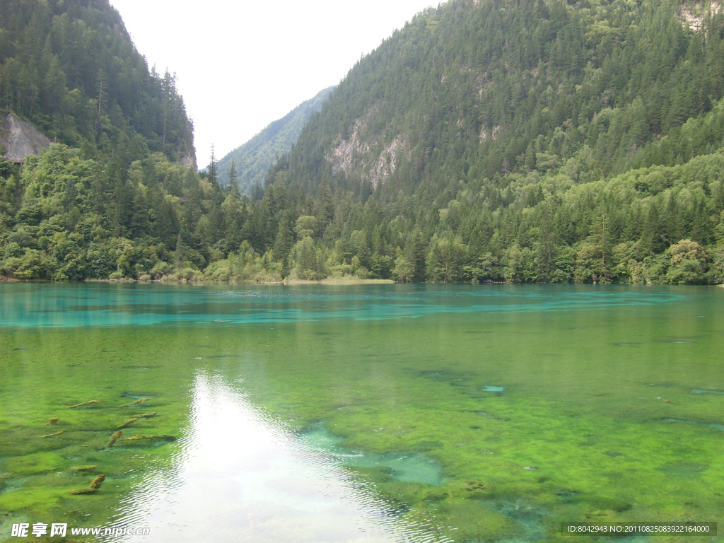 青山绿水