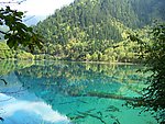 山水