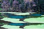 山水