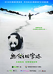 熊猫 海报