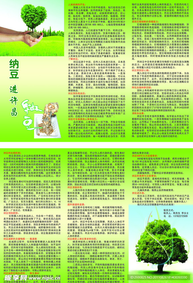 纳豆三折页彩页