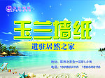 墙纸彩页