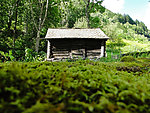 森林小屋