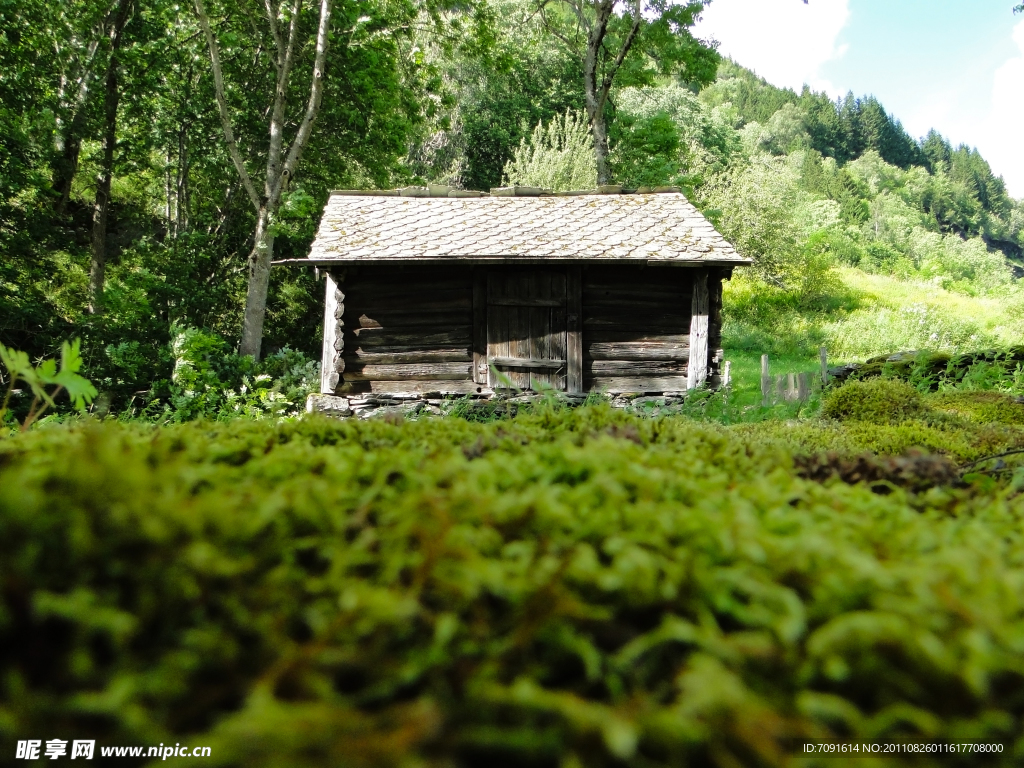 森林小屋