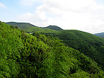 安吉的山