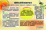 医院挂图