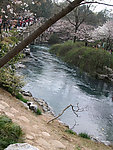 太子湾风景