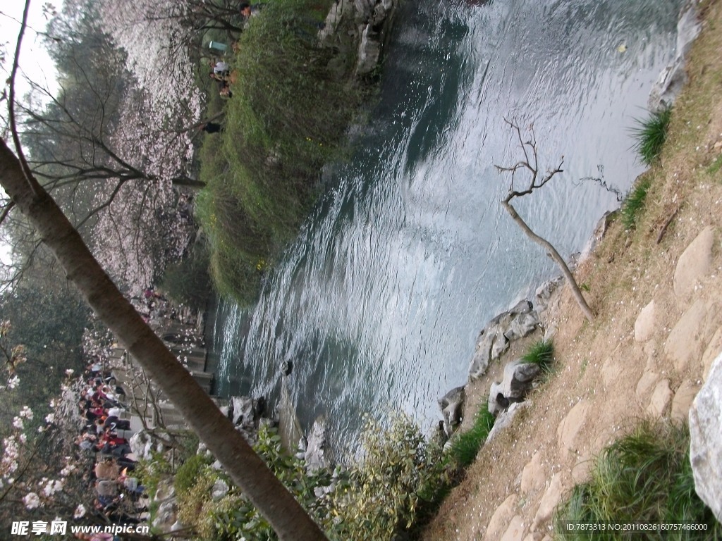 太子湾风景