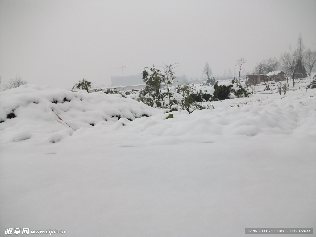 冬雪