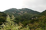 鄂东蕙兰山