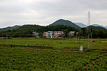 新农村