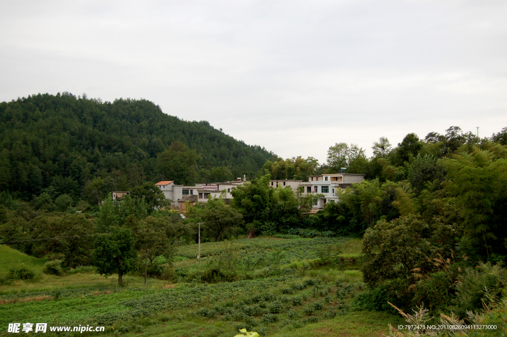 鄂东新农村