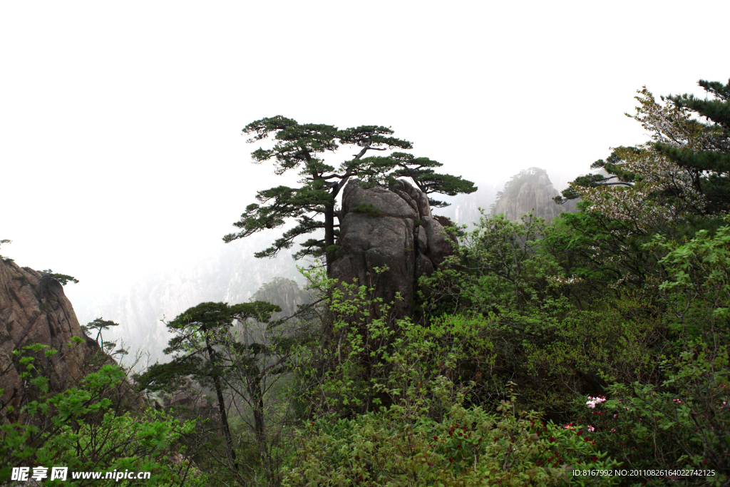 黄山风景