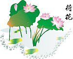 荷花