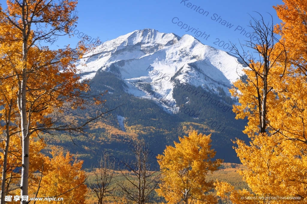 阿尔卑斯山