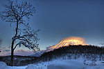 阳光下的雪山