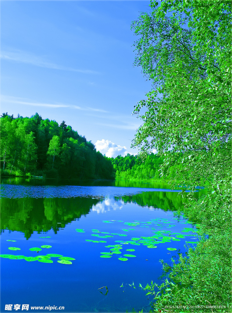 湖泊景色