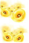 黄花