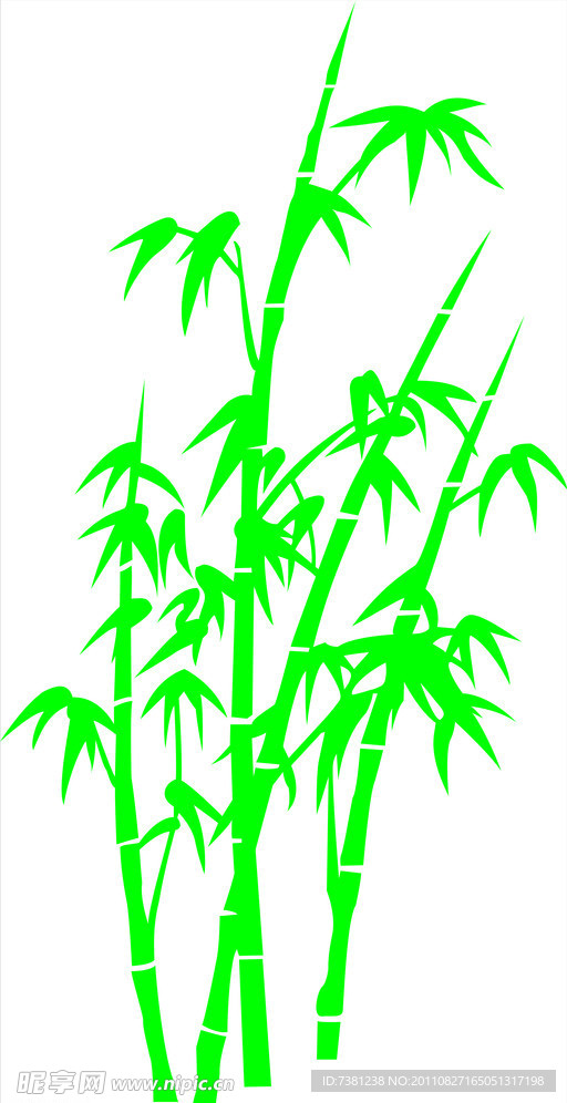 竹子 翠竹