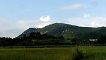 田园风光