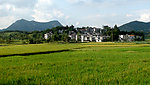 田园风光