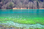 青山 绿水