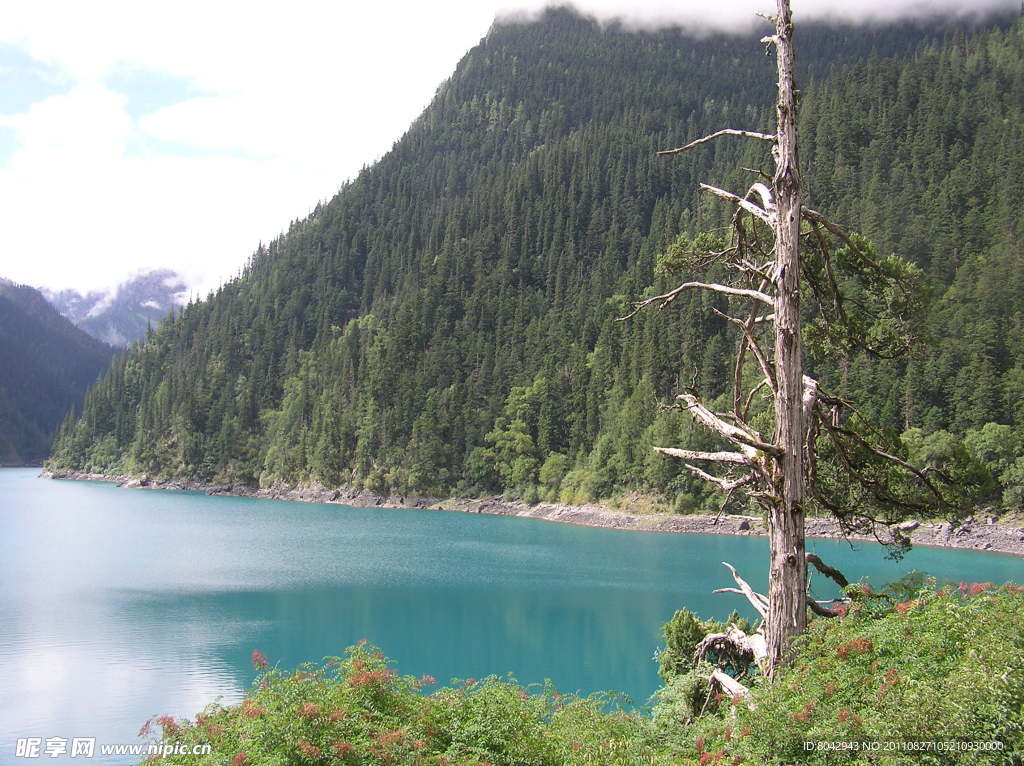 山水