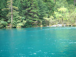山水 树林