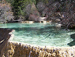 山水 树林