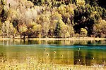 山水 秋天 树林