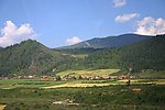 青山 草地