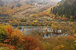 山水