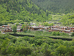 草丛 山林
