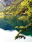 山水