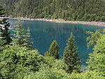 树林 山水