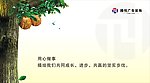 广告公司海报