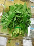通心菜