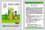 穗粒饱