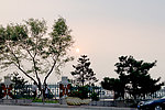 东坡港
