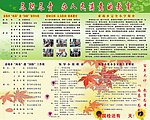 索珠乡迎国检领导小组