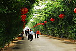 许昌禹州植物园景观