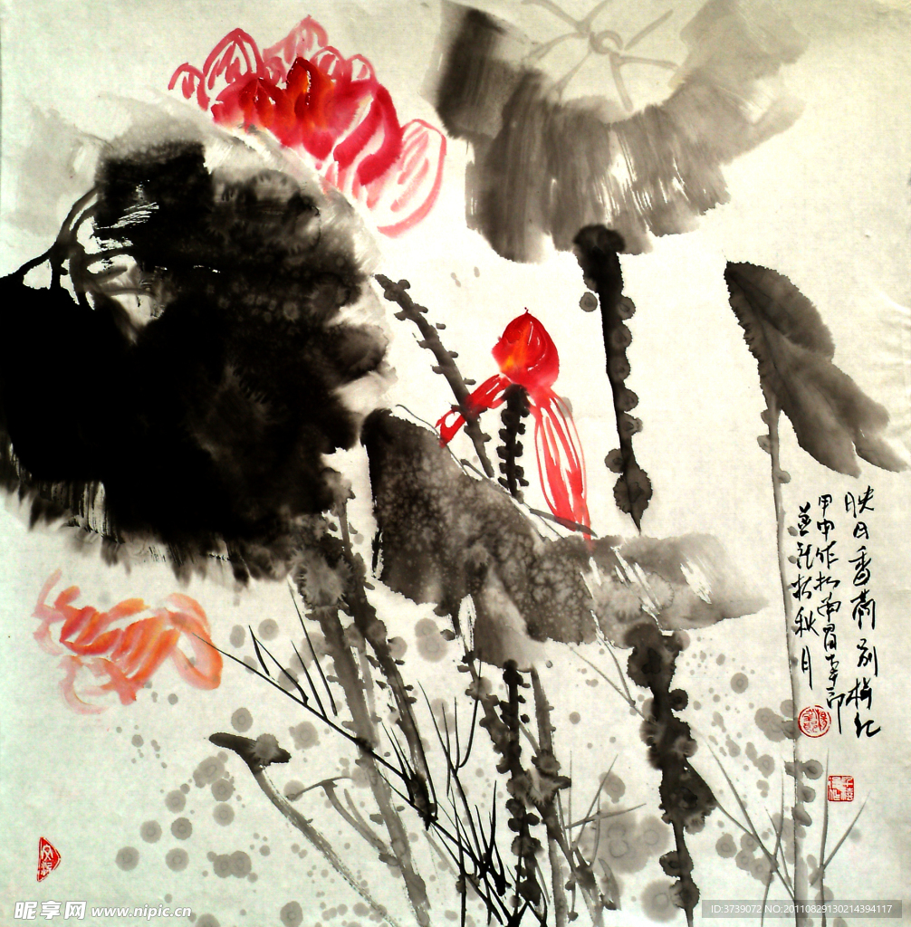 荷花水粉画