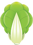 大青菜