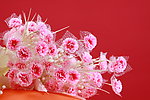 鲜花