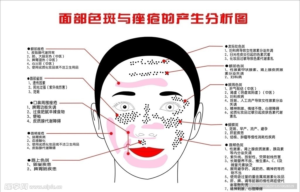 面部色斑与痤疮的产生分析图