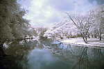 冬季河流