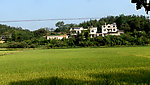 田园风光