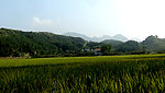 田园风光